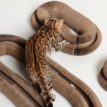 3-in-1 Magic Cat Toy – Scratch, Play & Chill!