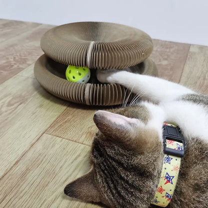 3-in-1 Magic Cat Toy – Scratch, Play & Chill!